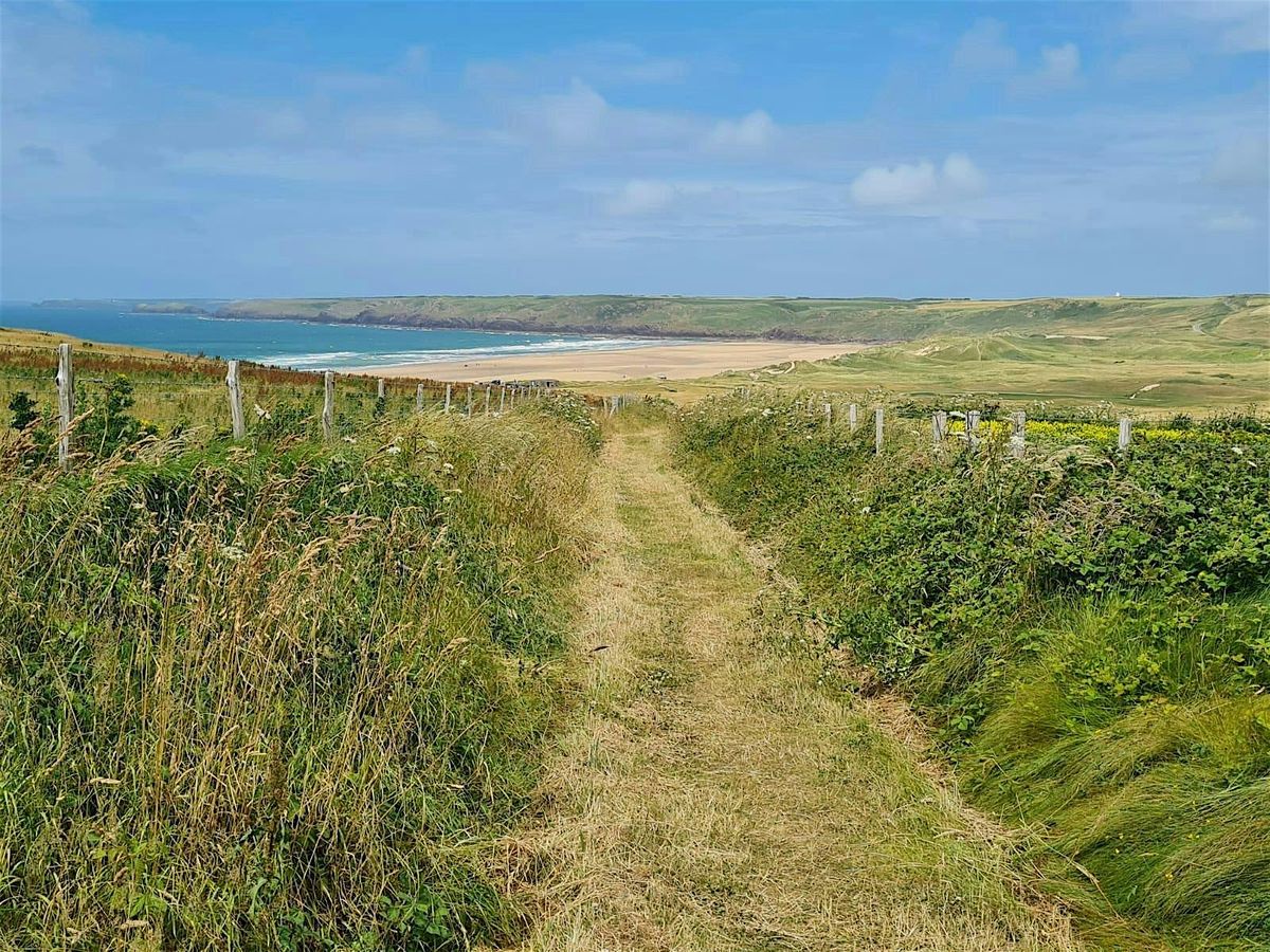 Shrill Carder Bee Safari Day Gupton Farm, 3 September | Event in Pembroke | AllEvents