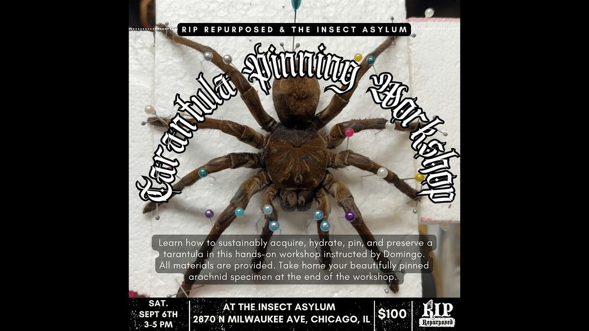Tarantula Pinning Workshop with RIP Repurposed, 6 September | Event in chicago | AllEvents