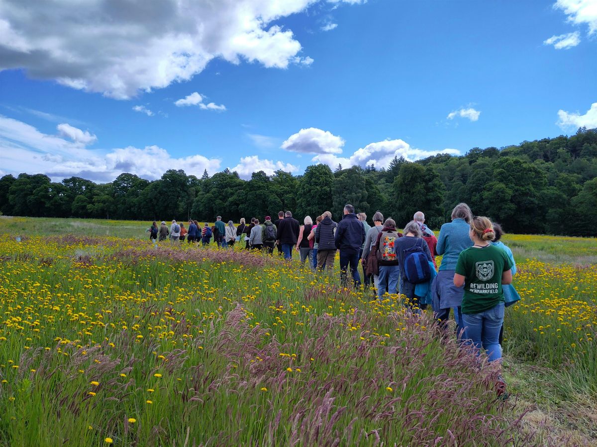 Rewilding Denmarkfield Open Day 2025!, 6 July | Event in Perth | AllEvents