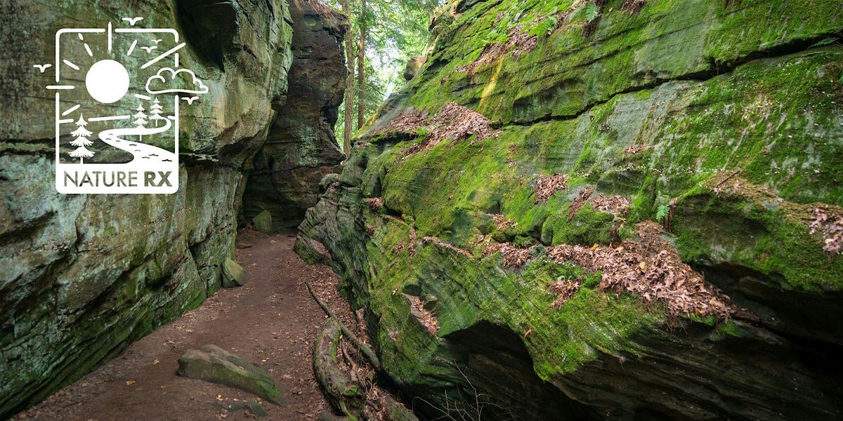 Nature Rx | Morning Mindfulness Walk, 25 June | Event in Peninsula | AllEvents