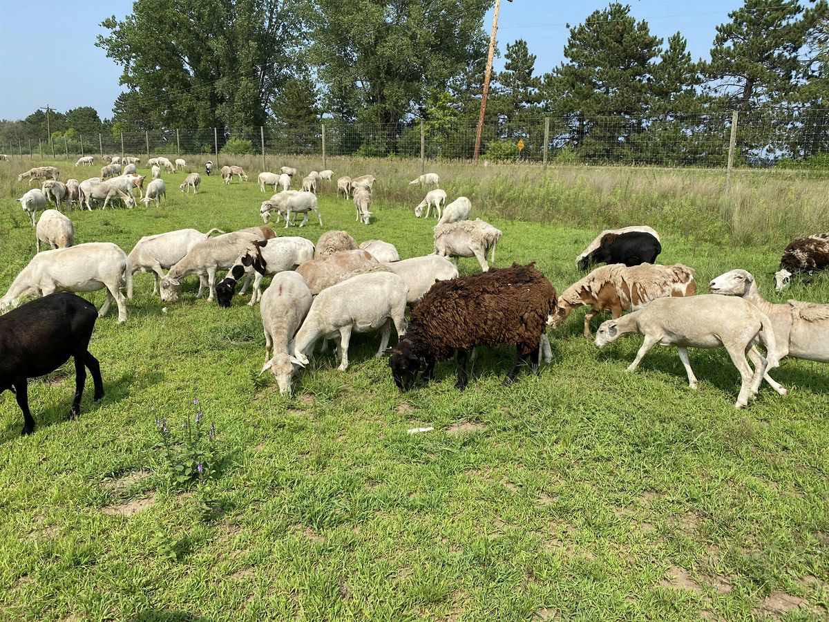 Beginning with Sheep and Goats Field Day, 13 September | Event in Raeford | AllEvents