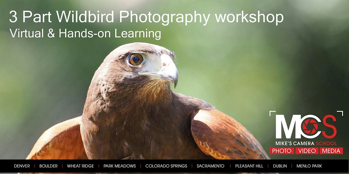 3pt Birds of Prey Photography Workshop with HawkQuest  - CO, 3 June | Event in Lone Tree | AllEvents