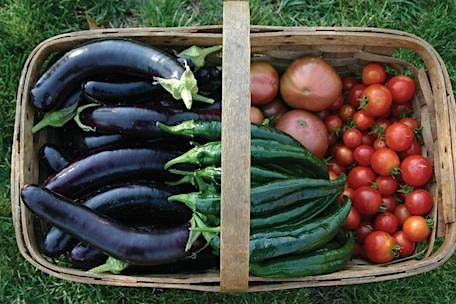 Vegetable Gardening - Saturday session | Event in Redmond | AllEvents