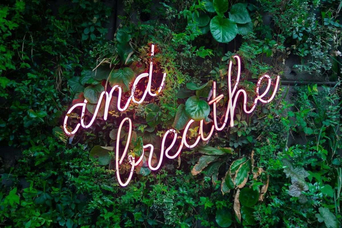 Communal Breathwork at WORTHY – Restorative Evening Session, 17 September | Event in Berkeley | AllEvents