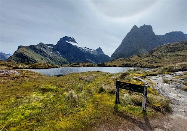 Treasury Presentation - Launch of the Investment Statement: IN-PERSON, 7 November | Event in Auckland | AllEvents