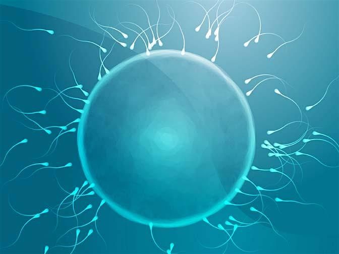 Queer Family Building Class - Insemination 101, 30 July | Event in Minneapolis | AllEvents