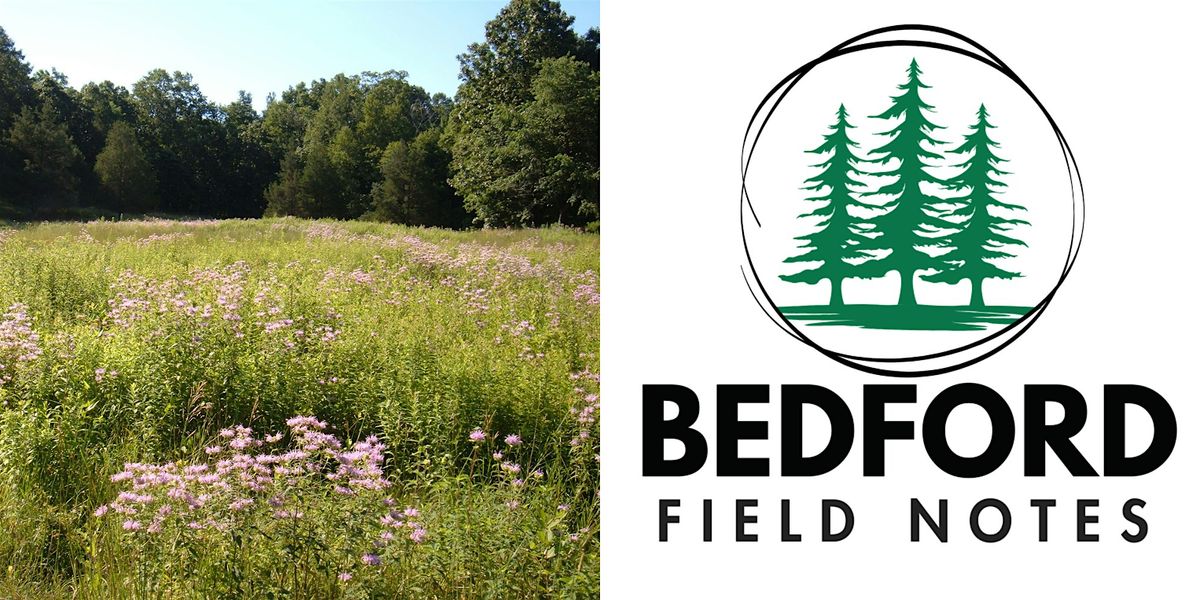 Bedford Field Notes Speaker Series: Land, 11 June | Event in Bedford | AllEvents
