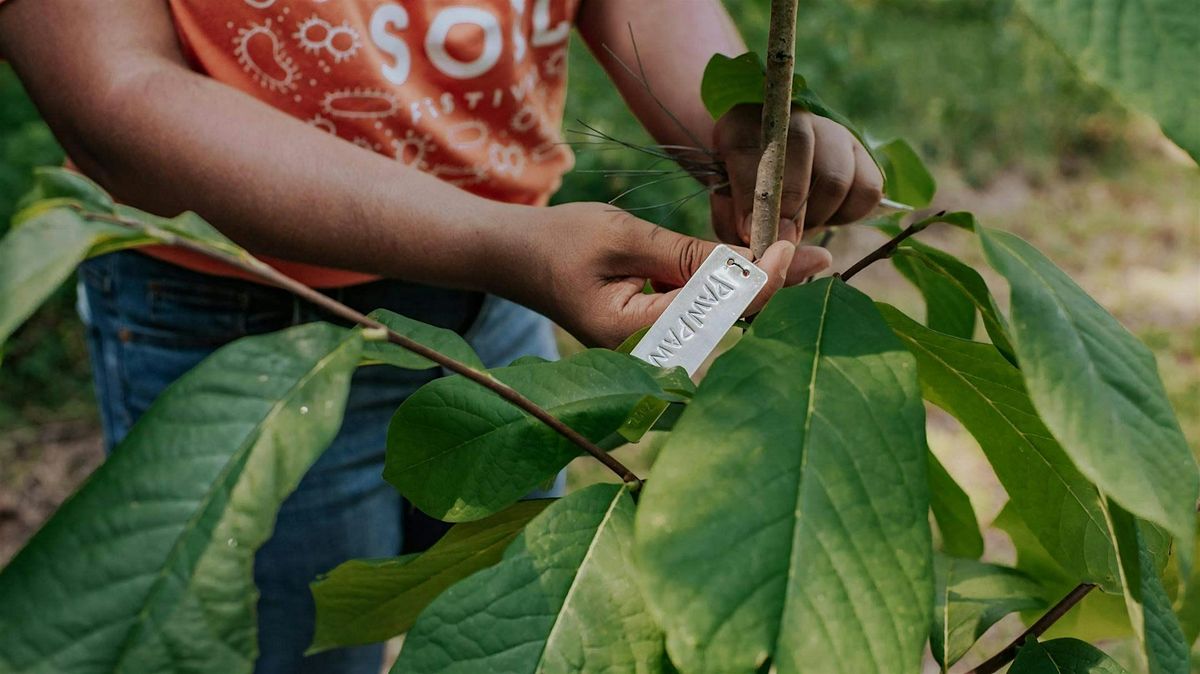 Growing Community Orchards Workshop, 16 January | Event in Decatur | AllEvents
