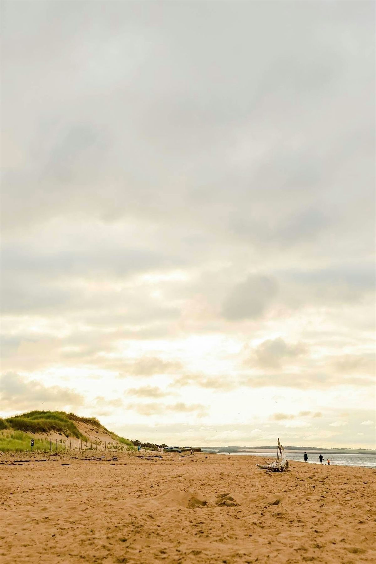 BEACH DAY at Brackley Beach, 30 August | Event in Brackley Beach | AllEvents