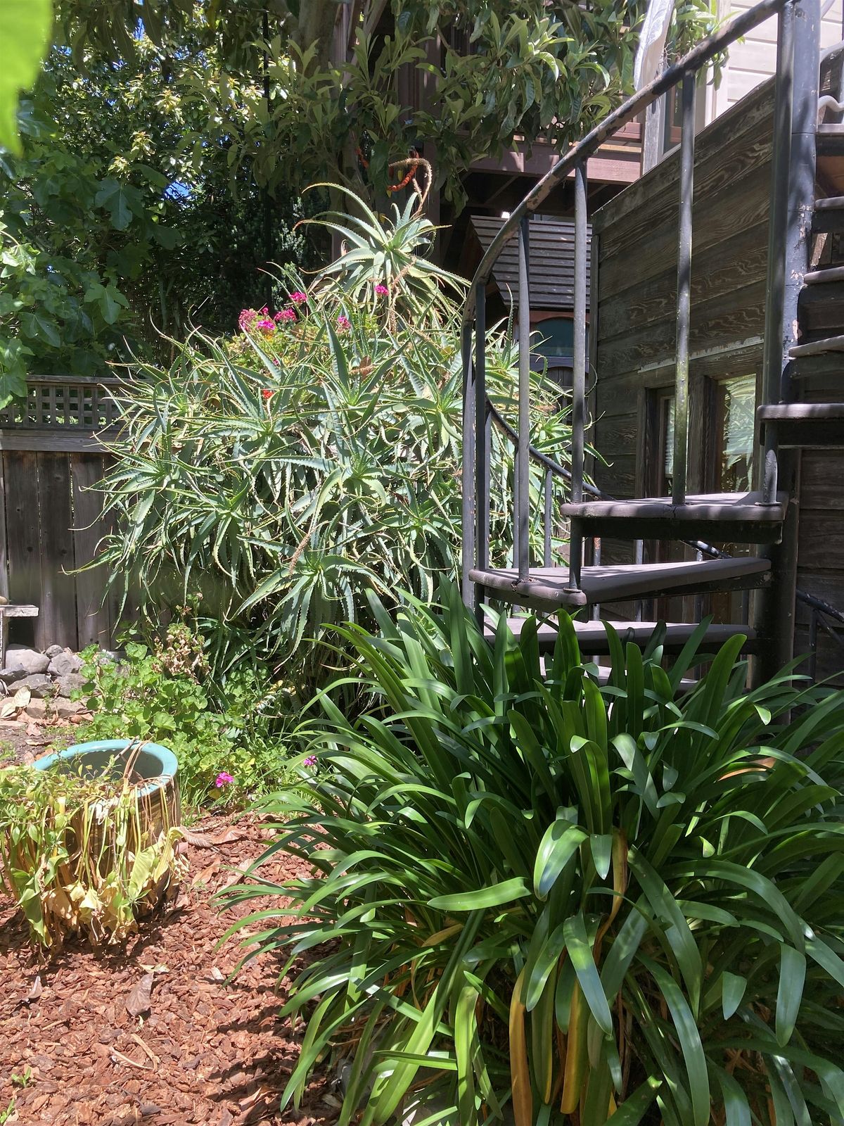 Way of Tantra: Embracing the body with Tantric practices, 23 November | Event in San Francisco | AllEvents