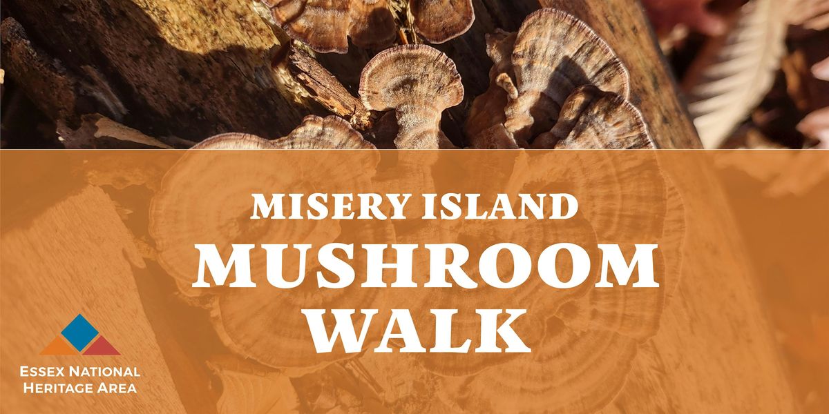 Misery Island Mushroom Walk, 27 June | Event in Salem | AllEvents
