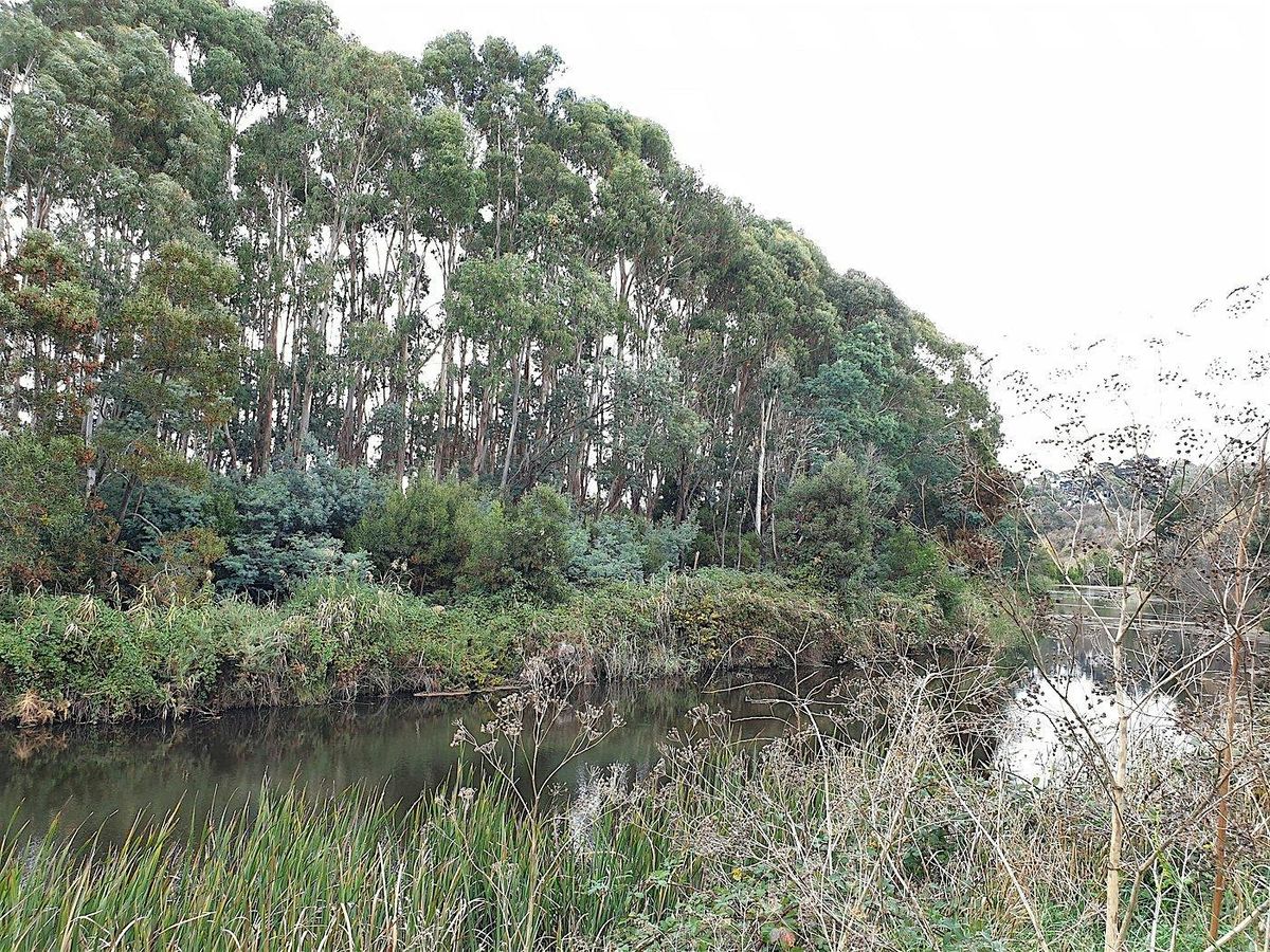 Campaspe River Walk, 7 September | Event in Kyneton | AllEvents