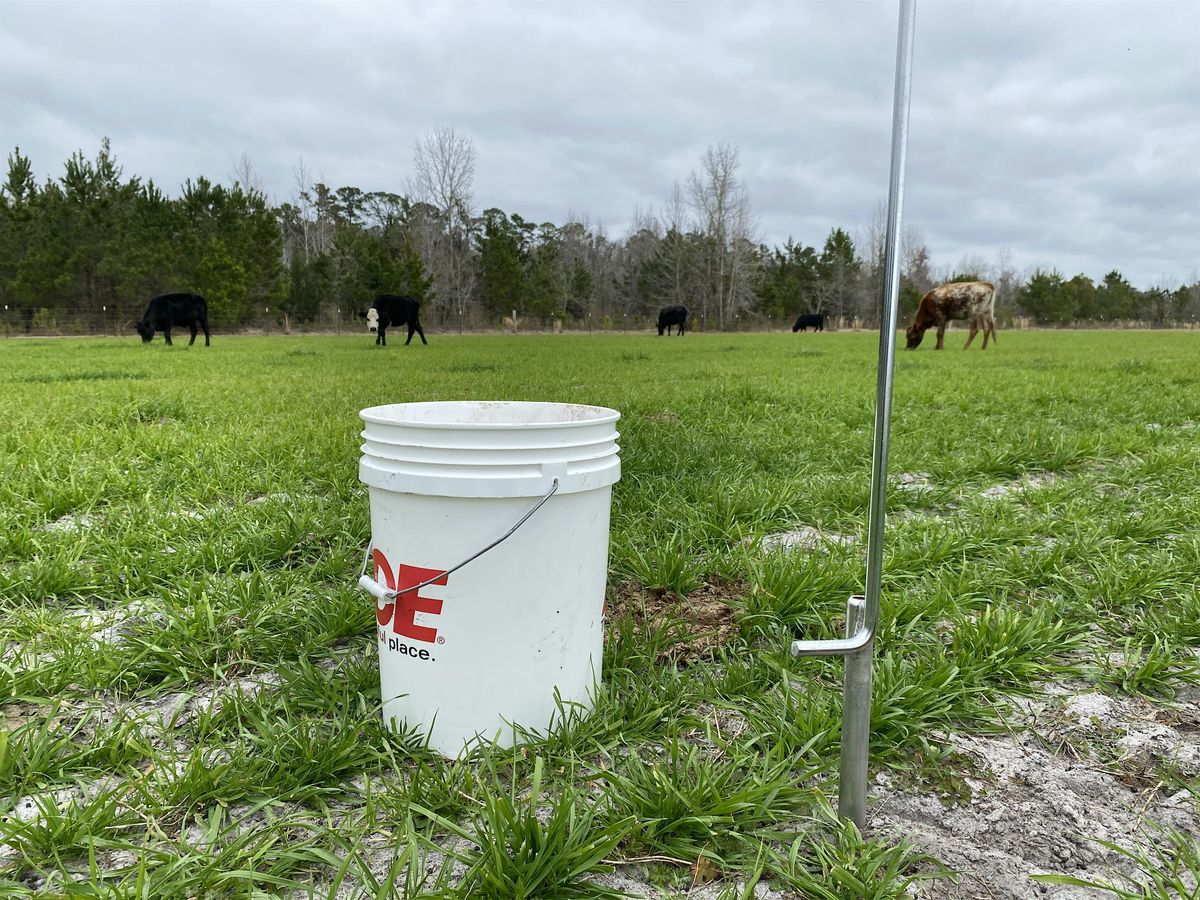 Site-visit, Sampling, Identification, & Consultation | Event in Callahan | AllEvents