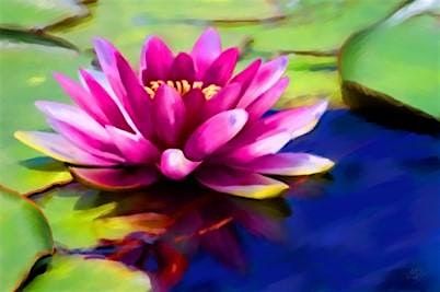 Integrative Health & Wellness Sessions- Community Program | Event in Mount Kisco | AllEvents