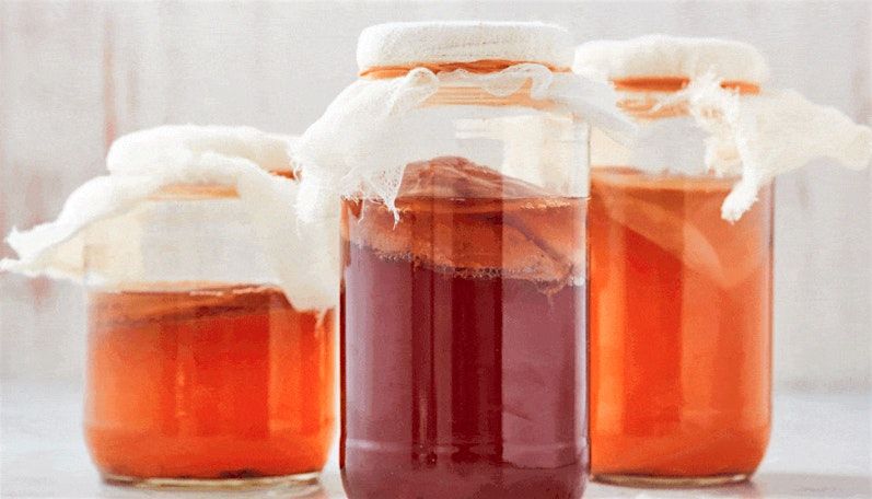 Kombucha 101 by Brindle Boxer Kombucha, 9 August | Event in Washington | AllEvents