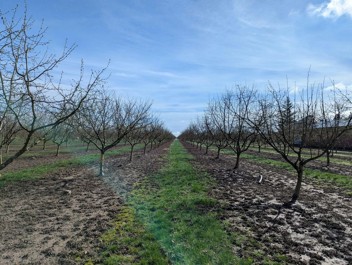 Cover Crop  Field Tour, 26 August | Event in Sheridan | AllEvents