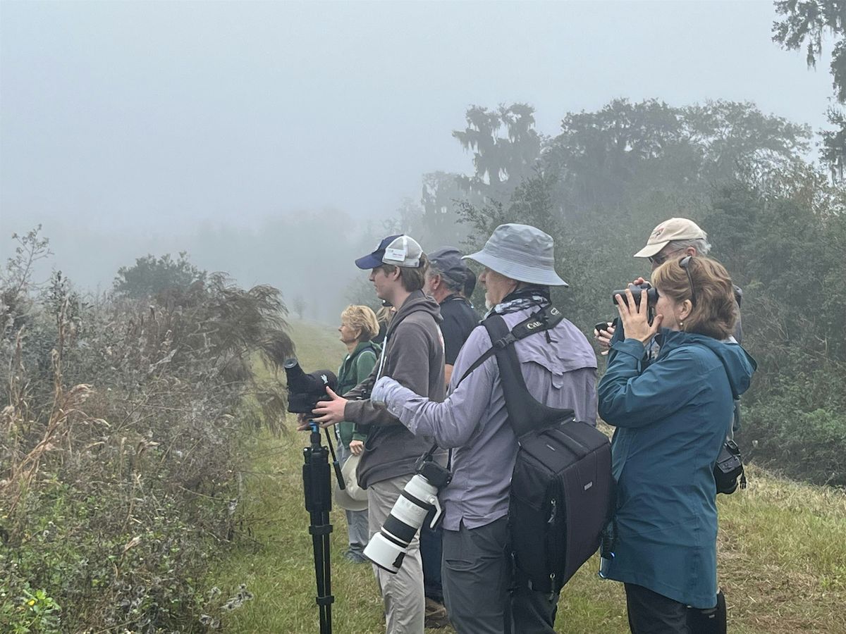 Private Walk for Trailmark Feet on the Ground at Masters Tract, 10 October | Event in Hastings | AllEvents