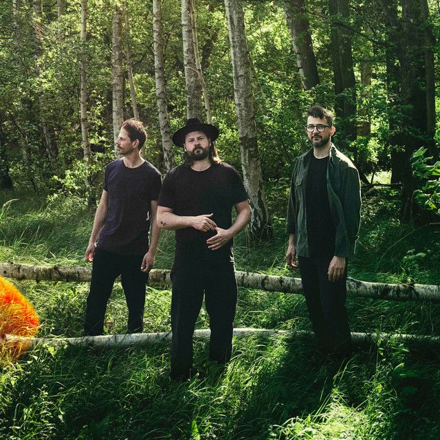 Mighty Oaks
