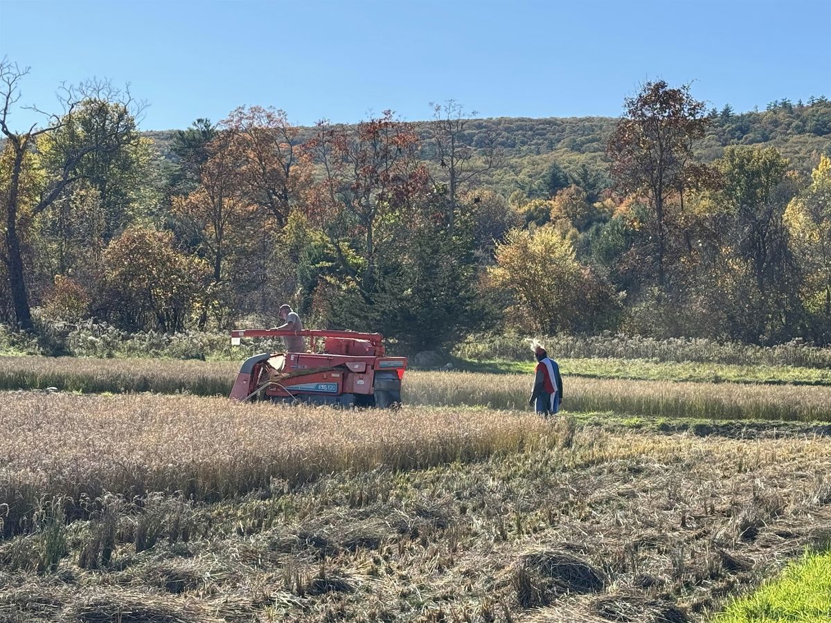 Walk & Talk with Ever Growing Family Farm on Rice Farming in Upstate NY, 13 September | Event in Kerhonkson