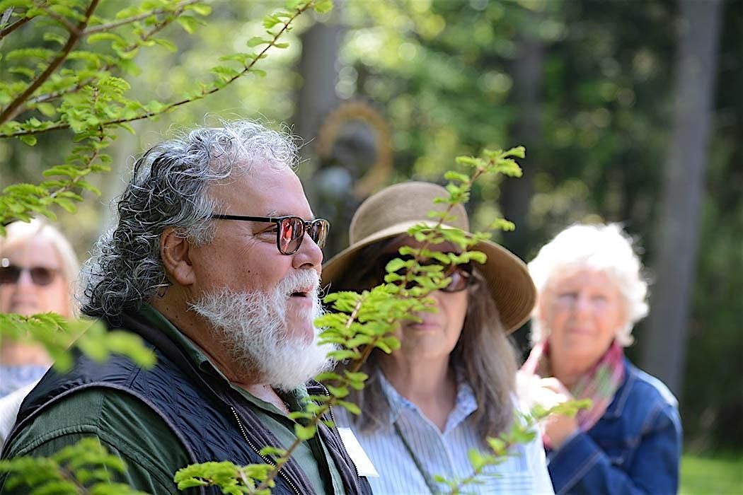 Foraging and Herbalism Walk with John Forti, 20 September | Event in Lee | AllEvents