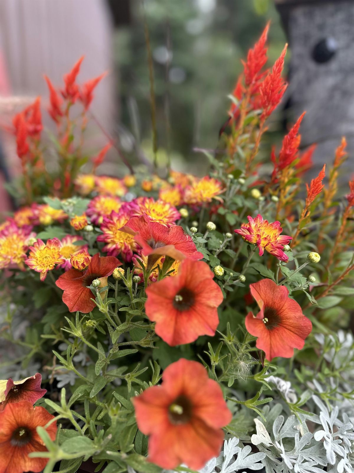 Fall Planter Workshop, 6 September | Event in Eau Claire | AllEvents