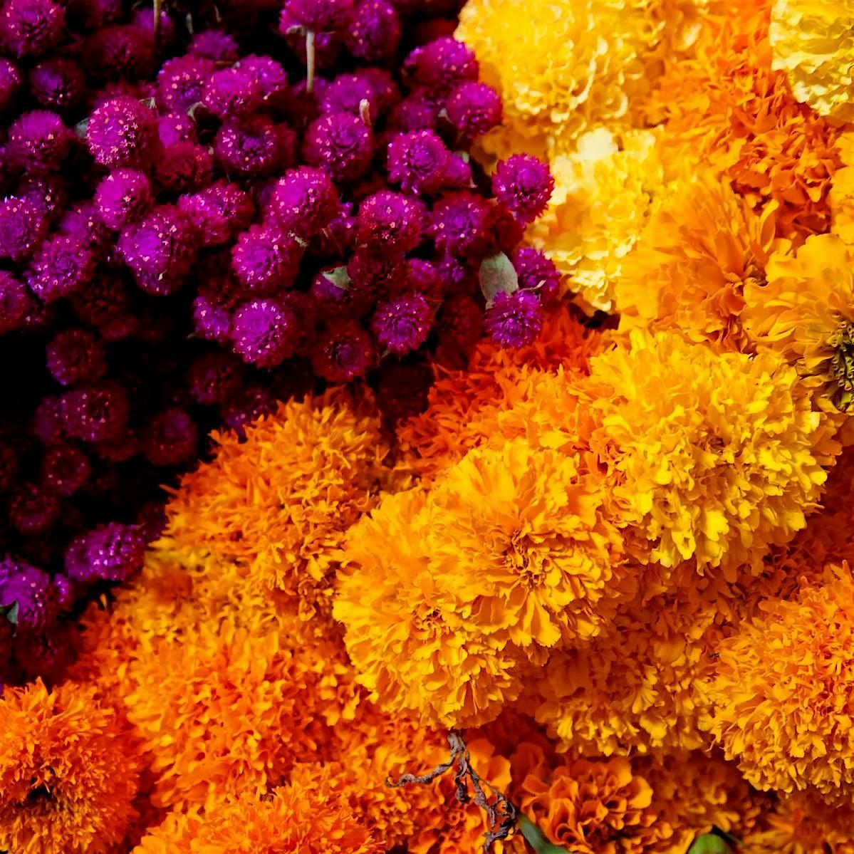 Día de Muertos Floral Celebration Class, 30 October | Event in Denver | AllEvents