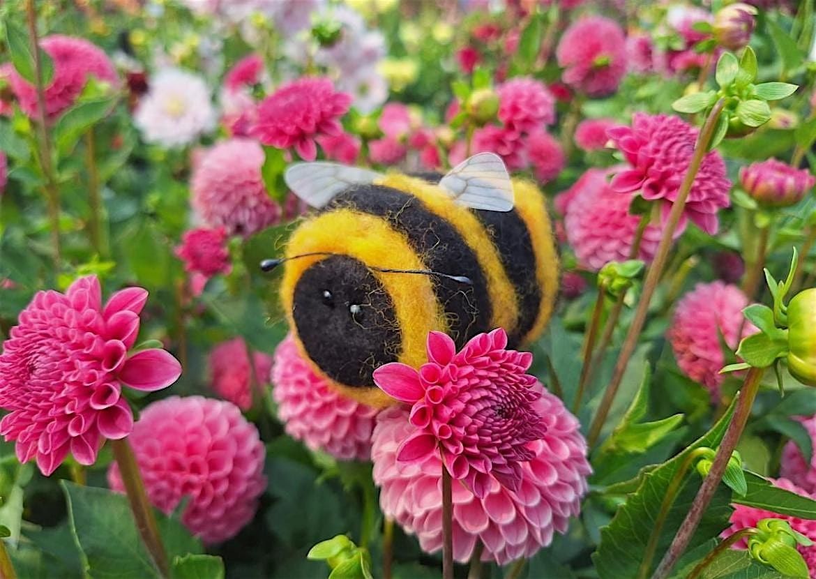 Needle Felting Class - Fuzzy Bumble Bee 2.0 at Swan Island Dahlias, 16 August | Event in Canby | AllEvents