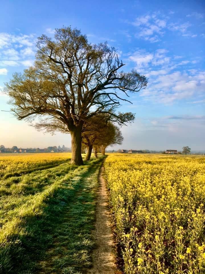 4-mile-walk-from-galleywood-cm2-8tr-galleywood-heritage-centre