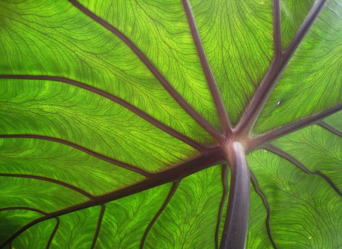 Nature and AI Workshop, 13 October | Event in Bristol | AllEvents