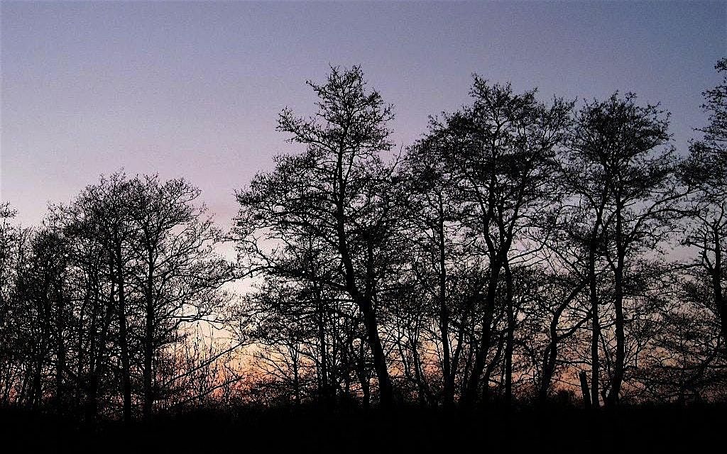 NWT Sweet Briar Marshes: Sweet Briar Marshes through time, 6 December | Event in Norwich | AllEvents