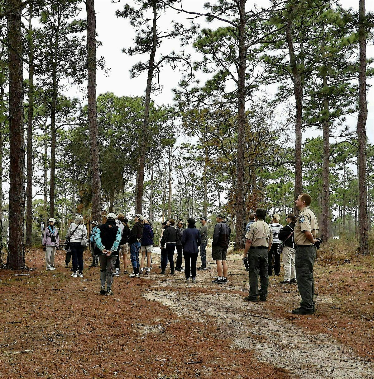 Birding Faver-Dykes State Park, 17 January | Event in St. Augustine | AllEvents