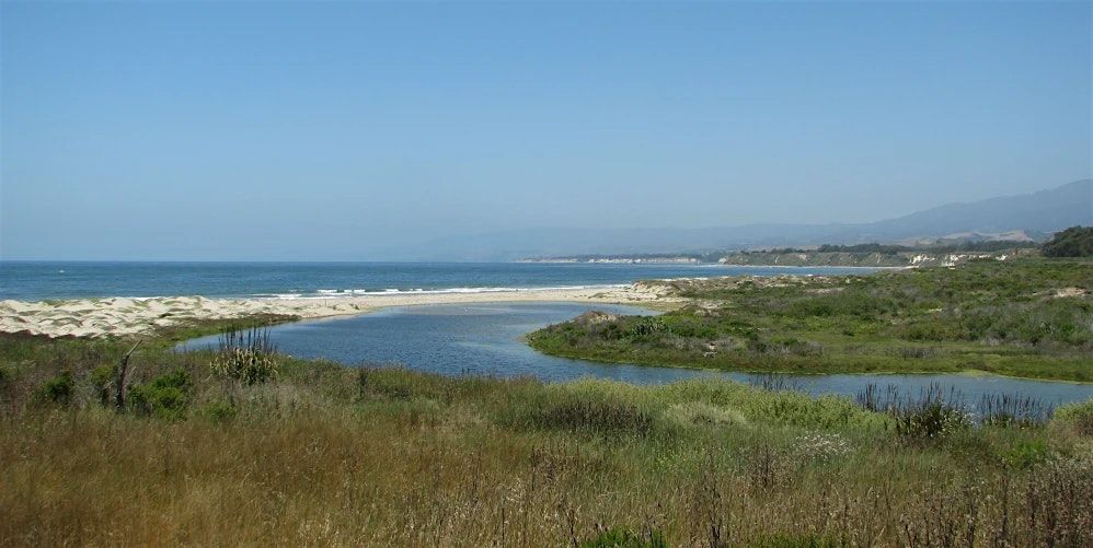 Tour of Coal Oil Point Reserve, 2 August | Event in Isla Vista | AllEvents