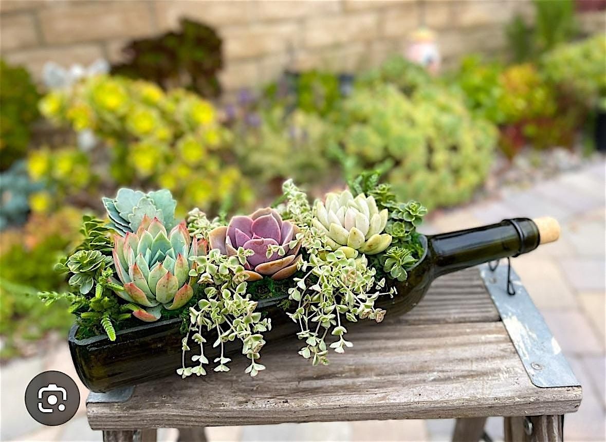 Hands-On Wine & Crafts: Bottled Blooms with Villa Succulent, 19 August | Event in San Jose | AllEvents