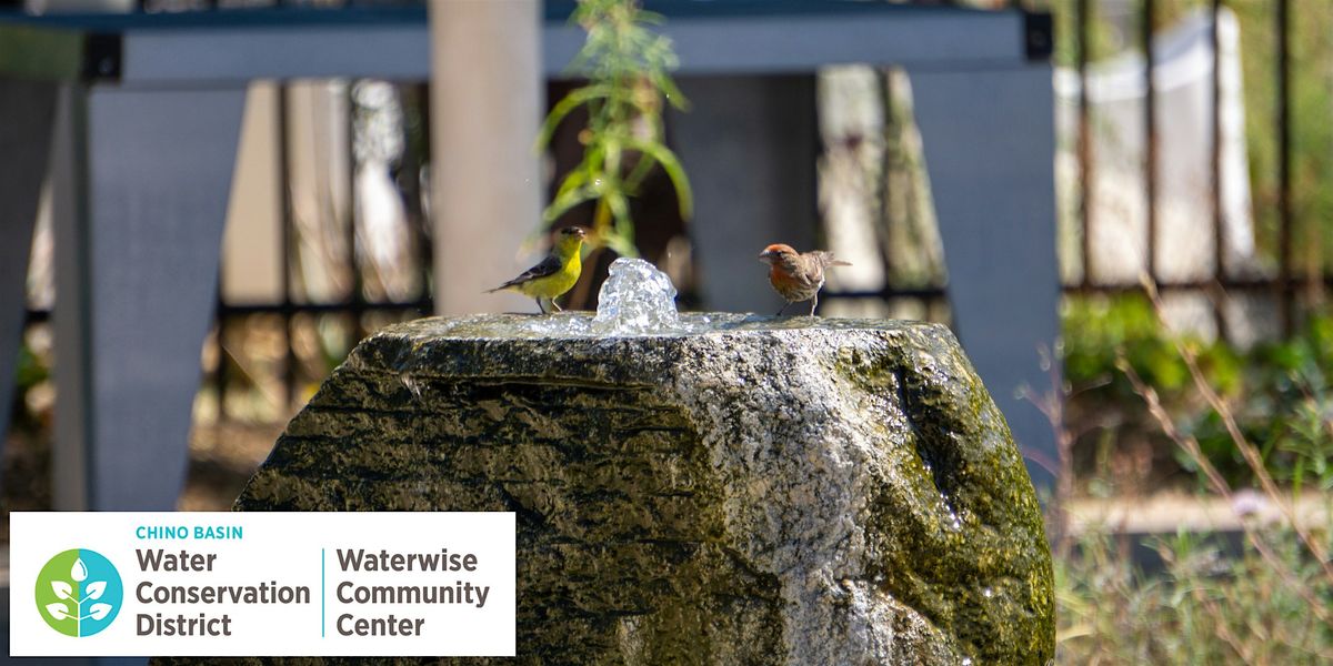 DIY Water Features and Birdbaths, 27 September | Event in Montclair | AllEvents