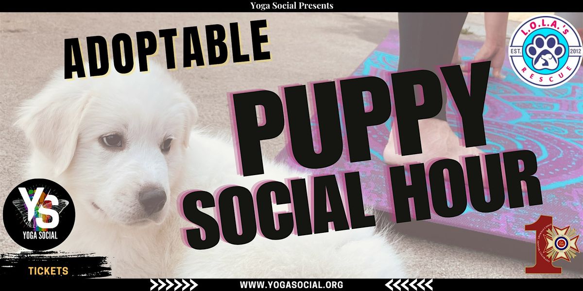 Adoptable Puppy Social Hour at VFW Post 1, 20 December | Event in Denver | AllEvents