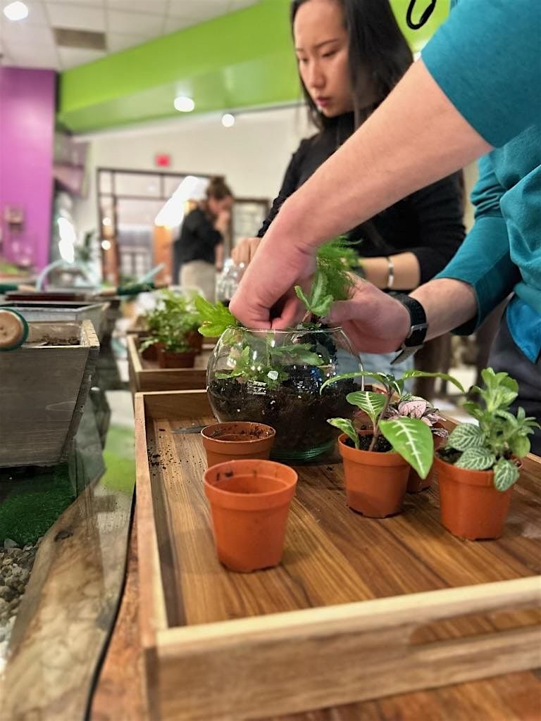 Terrarium Workshop at Sprout!, 20 June | Event in Boston | AllEvents