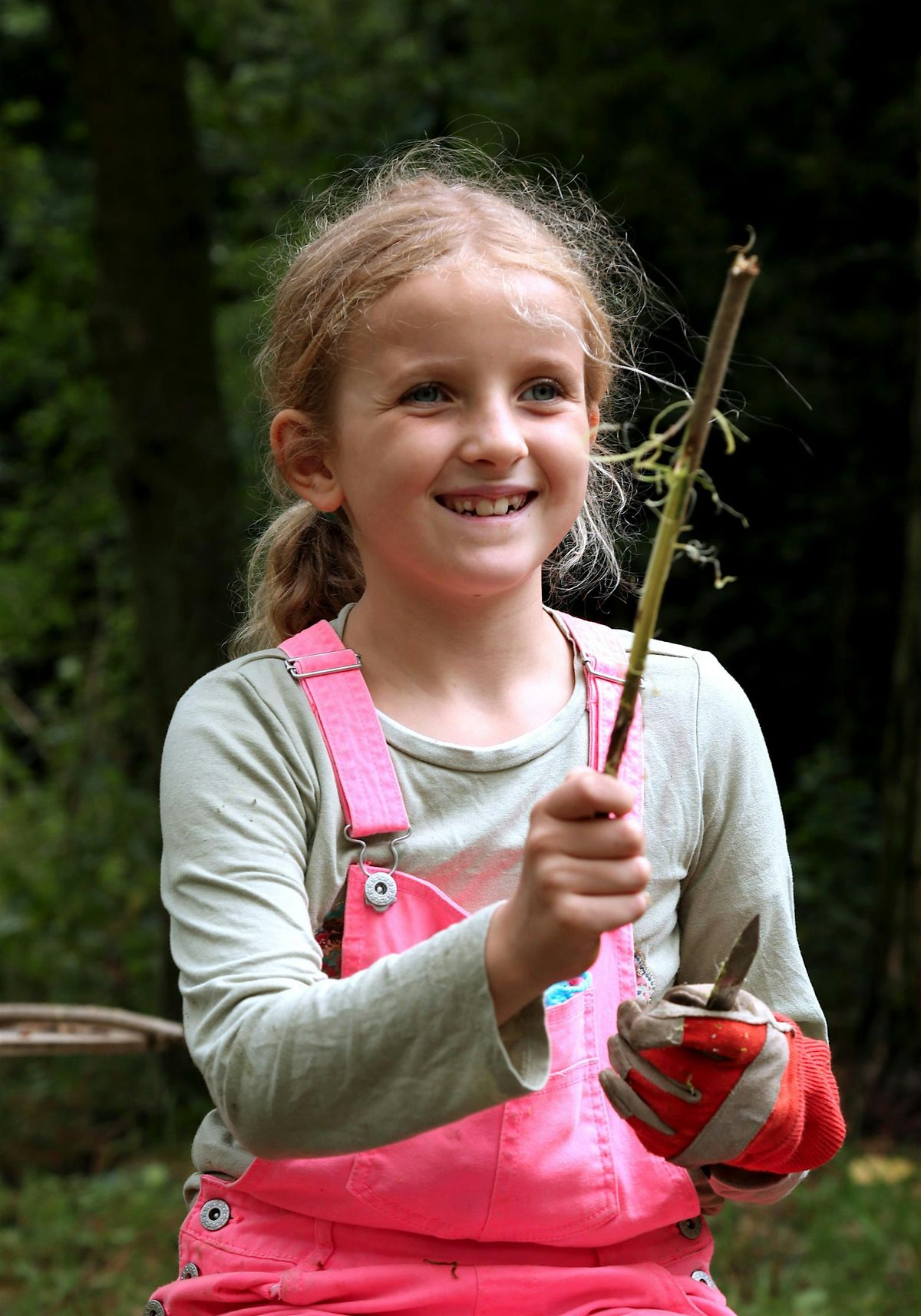 Bedfords Wizarding Wands For Families, 28 October | Event in Romford | AllEvents