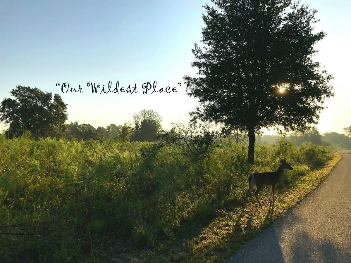 Hidden Wonders Nature Walk, 21 June | Event in Tarpon Springs | AllEvents