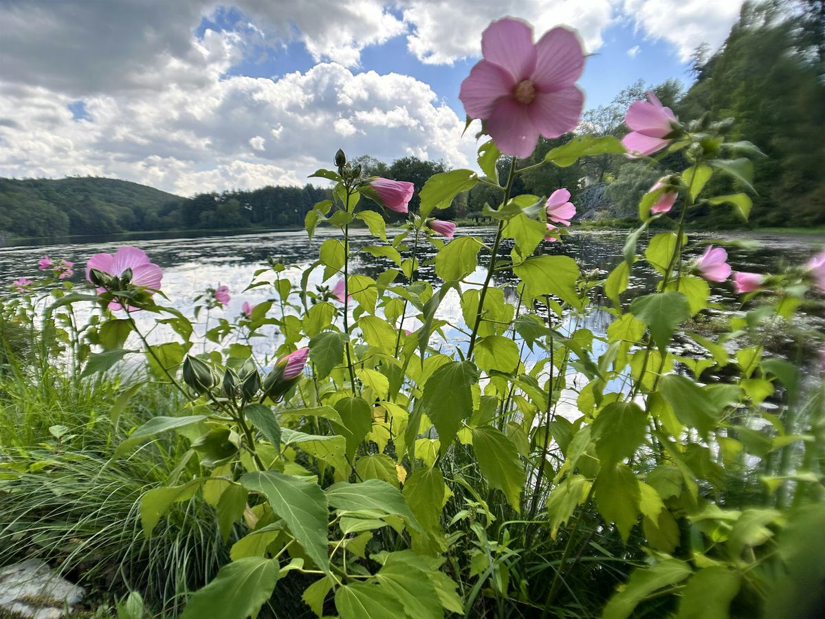 Innisfree Garden Tour, 31 May | Event in Millbrook | AllEvents