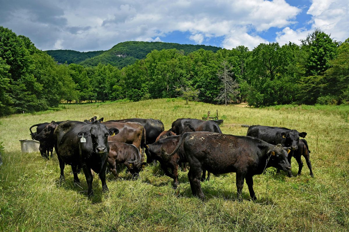 Disaster Preparedness Workshop for Livestock | Event in Rocky Mount | AllEvents