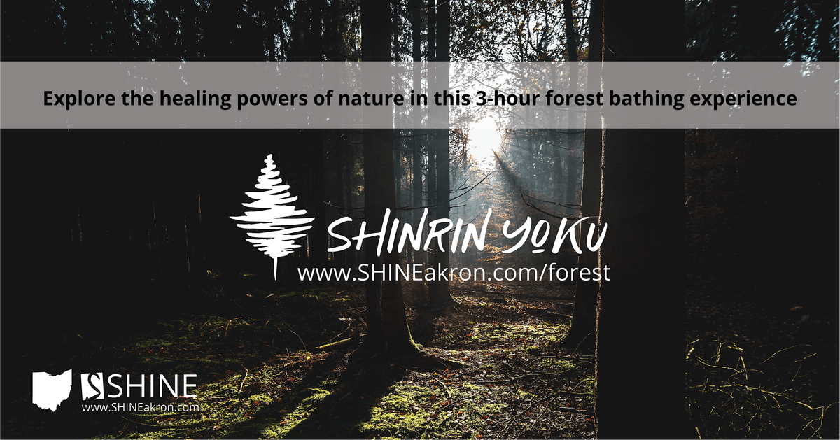 Shinrin Yoku (aka Forest Bathing) Workshop, 18 August | Event in Kent | AllEvents