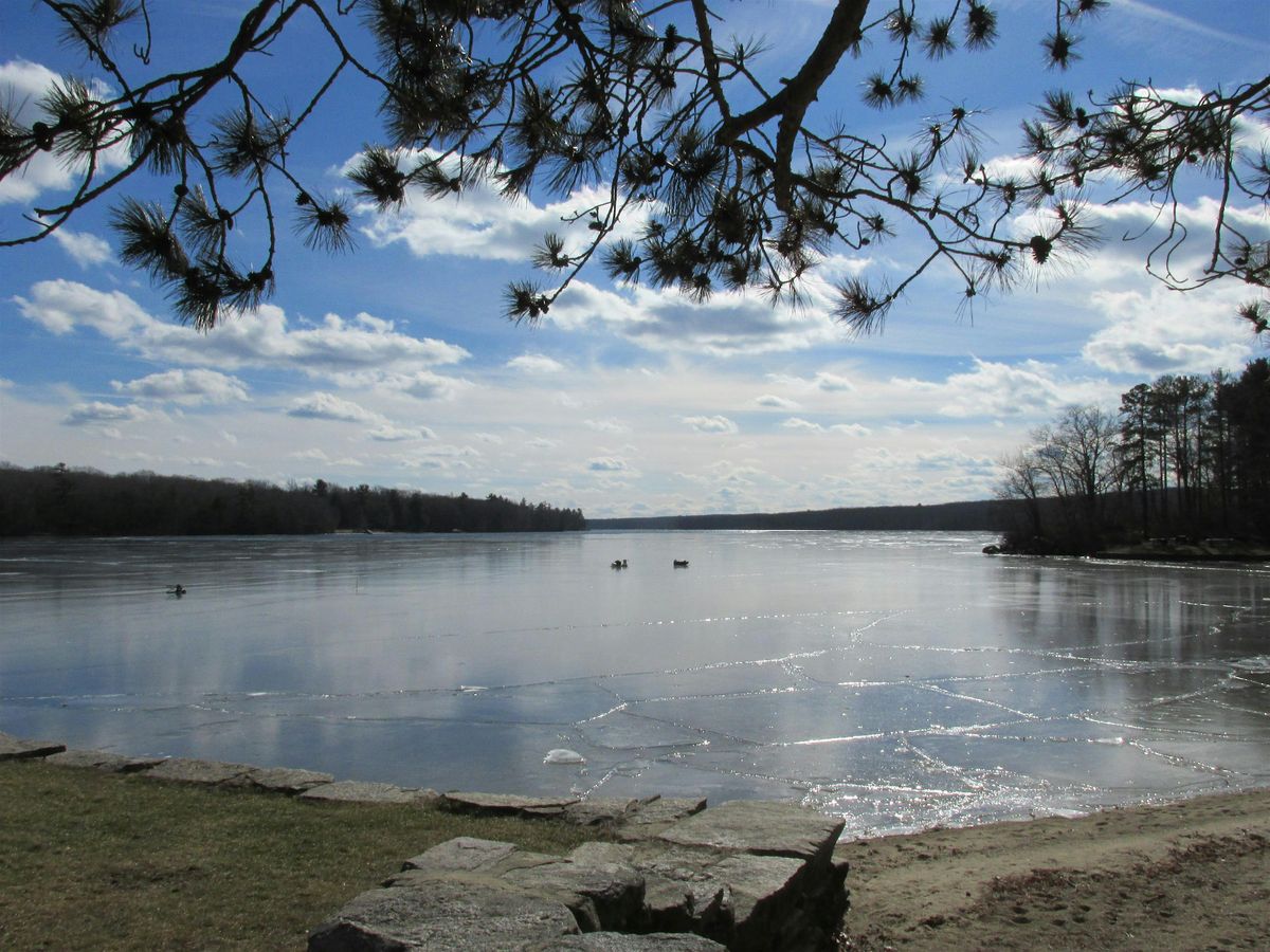 Blackstone Valley NEMBA - Geezer Group Ride, 20 May | Event in Burrillville | AllEvents