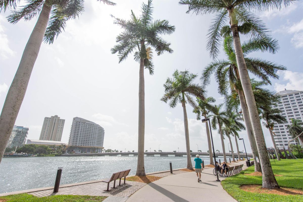 Taco 'Bout Tech with Northeastern University, 17 December | Event in Miami | AllEvents