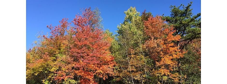 Autumn Tree Trek, 3 October | Event in Circleville | AllEvents