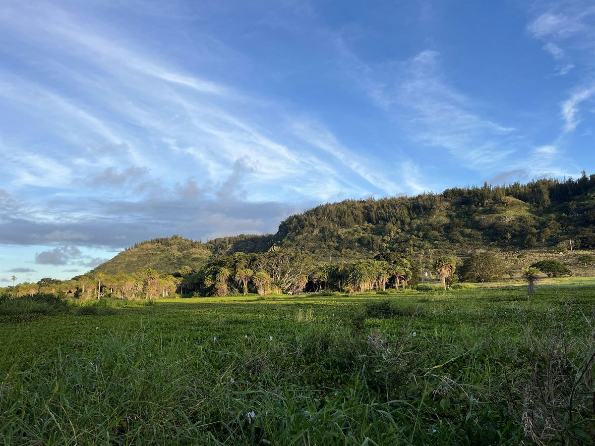 Waialeʻe Lako Pono - Community  Work Day | Event in Haleiwa | AllEvents