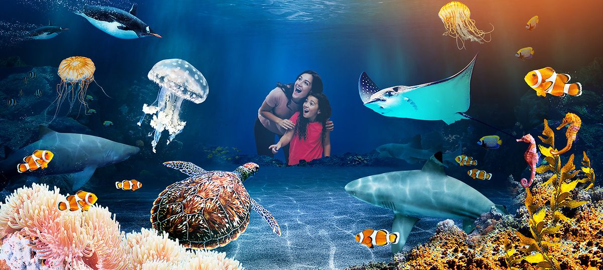 Reef Birmingham Tickets, 7 November | Event in Birmingham | AllEvents