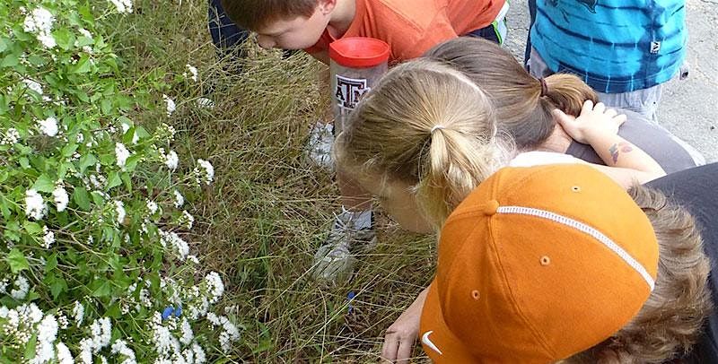 Starting Out Wild: Agaves, Yuccas & Succulents, 25 July | Event in San Antonio | AllEvents