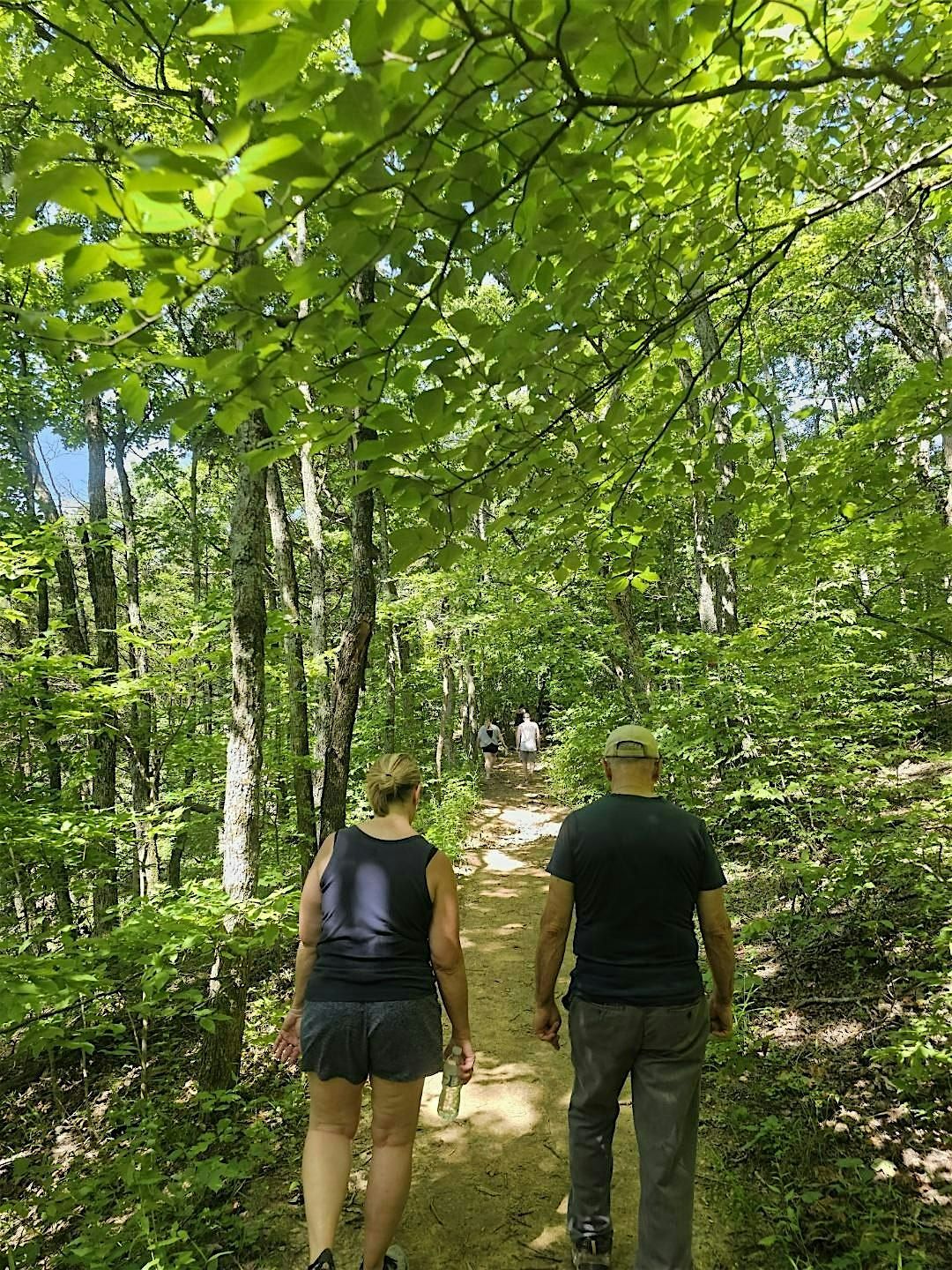 Grounded Resilience: A First Responders' Wellness Hike | Event in Valley Park | AllEvents