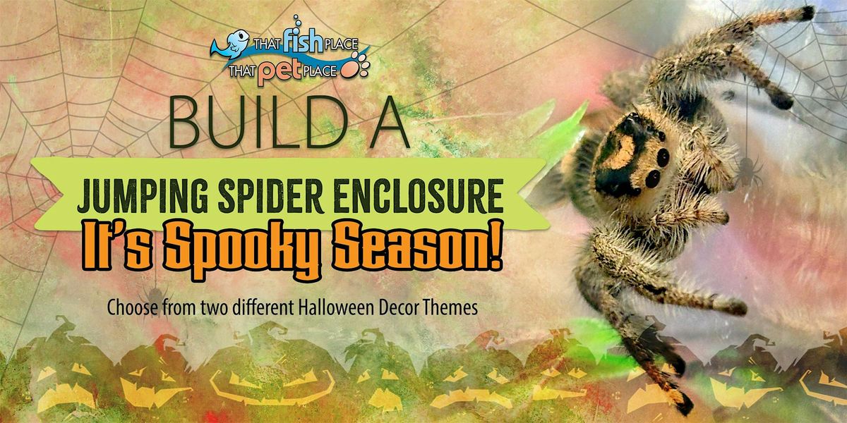 Build a Jumping Spider Enclosure - Spooky Season!, 26 October | Event in Lancaster | AllEvents
