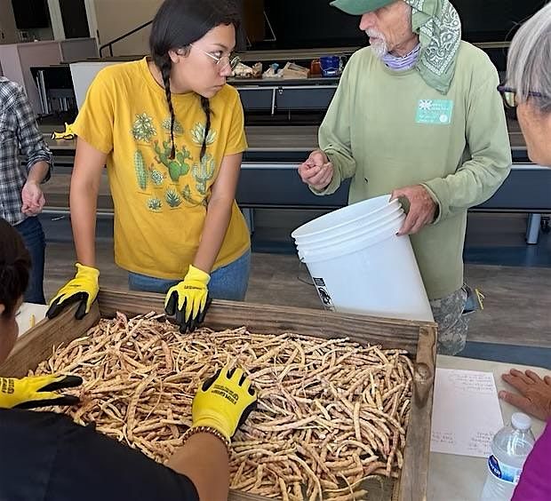 Annual Mesquite Milling Event, 28 June | Event in Phoenix | AllEvents
